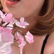 ヒメ日記 2025/07/01 06:40 投稿 桜木 丸妻 西船橋店