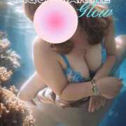 ヒメ日記 2025/08/12 20:11 投稿 桜木 丸妻 西船橋店