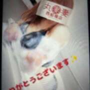 ヒメ日記 2025/10/13 12:22 投稿 桜木 丸妻 西船橋店