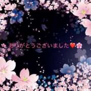 ヒメ日記 2025/10/13 16:56 投稿 桜木 丸妻 西船橋店