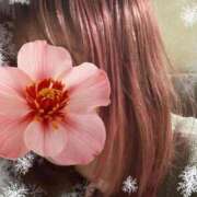 ヒメ日記 2025/12/30 16:47 投稿 桜木 丸妻 西船橋店