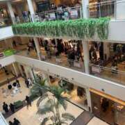 ヒメ日記 2026/02/22 12:38 投稿 桜木 丸妻 西船橋店