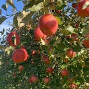 ヒメ日記 2026/02/25 19:48 投稿 桜木 丸妻 西船橋店