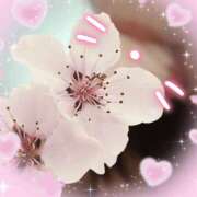 ヒメ日記 2026/02/26 10:16 投稿 桜木 丸妻 西船橋店