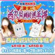 ヒメ日記 2026/03/30 06:40 投稿 桜木 丸妻 西船橋店