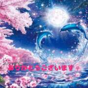 ヒメ日記 2026/03/31 11:10 投稿 桜木 丸妻 西船橋店