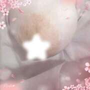 ヒメ日記 2026/04/03 06:07 投稿 桜木 丸妻 西船橋店