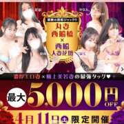 ヒメ日記 2026/04/06 05:33 投稿 桜木 丸妻 西船橋店