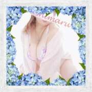 ヒメ日記 2026/04/14 10:53 投稿 桜木 丸妻 西船橋店