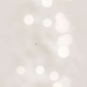 ヒメ日記 2026/07/14 16:42 投稿 桜木 丸妻 西船橋店