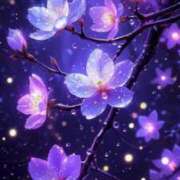 ヒメ日記 2026/07/14 23:46 投稿 桜木 丸妻 西船橋店