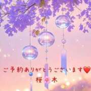 ヒメ日記 2026/08/12 10:22 投稿 桜木 丸妻 西船橋店