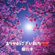 ヒメ日記 2026/09/02 14:41 投稿 桜木 丸妻 西船橋店