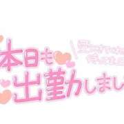 ヒメ日記 2024/02/20 09:37 投稿 ひなた clubさくら難波店