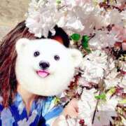 ヒメ日記 2025/04/19 23:32 投稿 紅葉(もみじ) PLUS梅田店