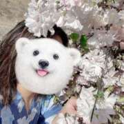 ヒメ日記 2025/05/01 00:22 投稿 紅葉(もみじ) PLUS梅田店