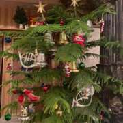 ヒメ日記 2025/12/18 20:32 投稿 紅葉(もみじ) PLUS梅田店