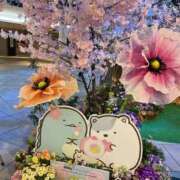 ヒメ日記 2026/04/05 09:32 投稿 紅葉(もみじ) PLUS梅田店