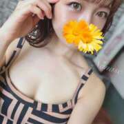 ヒメ日記 2024/12/17 23:11 投稿 ななせ 当たりSPA