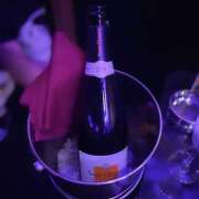 ヒメ日記 2024/12/16 07:12 投稿 ふう みつばちマーヤZ