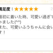 ヒメ日記 2024/12/27 15:57 投稿 ふう みつばちマーヤZ