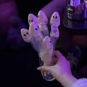 ヒメ日記 2025/02/02 21:21 投稿 ふう みつばちマーヤZ