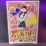 ヒメ日記 2025/02/05 21:01 投稿 ふう みつばちマーヤZ