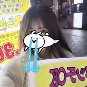 ヒメ日記 2025/02/18 00:14 投稿 ふう みつばちマーヤZ