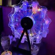 ヒメ日記 2025/02/25 19:17 投稿 ふう みつばちマーヤZ