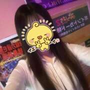 ヒメ日記 2025/03/22 20:05 投稿 ふう みつばちマーヤZ