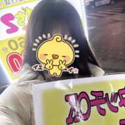 ヒメ日記 2025/03/23 00:28 投稿 ふう みつばちマーヤZ