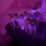 ヒメ日記 2025/04/05 01:37 投稿 ふう みつばちマーヤZ