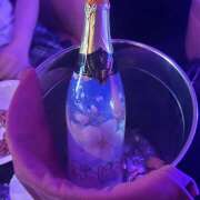 ヒメ日記 2025/04/10 00:58 投稿 ふう みつばちマーヤZ