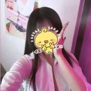 ヒメ日記 2025/04/10 19:09 投稿 ふう みつばちマーヤZ