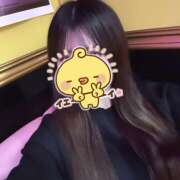 ヒメ日記 2025/04/14 01:15 投稿 ふう みつばちマーヤZ