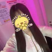 ヒメ日記 2025/04/17 19:38 投稿 ふう みつばちマーヤZ