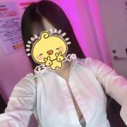 ヒメ日記 2025/04/23 19:08 投稿 ふう みつばちマーヤZ