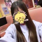 ヒメ日記 2025/04/24 01:32 投稿 ふう みつばちマーヤZ