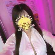 ヒメ日記 2025/05/12 20:15 投稿 ふう みつばちマーヤZ