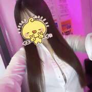 ヒメ日記 2025/05/18 20:24 投稿 ふう みつばちマーヤZ