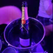 ヒメ日記 2025/05/29 01:47 投稿 ふう みつばちマーヤZ