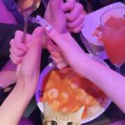 ヒメ日記 2025/06/02 02:19 投稿 ふう みつばちマーヤZ