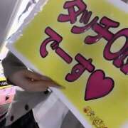 ヒメ日記 2025/06/15 18:59 投稿 ふう みつばちマーヤZ