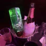 ヒメ日記 2025/06/19 02:21 投稿 ふう みつばちマーヤZ