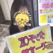 ヒメ日記 2025/08/14 19:26 投稿 ふう みつばちマーヤZ