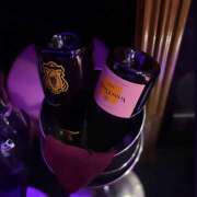 ヒメ日記 2025/09/02 20:15 投稿 ふう みつばちマーヤZ