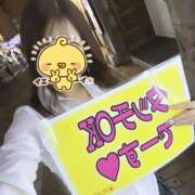 ヒメ日記 2025/09/17 01:46 投稿 ふう みつばちマーヤZ