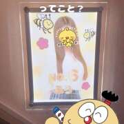 ヒメ日記 2025/10/07 19:49 投稿 ふう みつばちマーヤZ