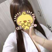 ヒメ日記 2025/10/17 01:51 投稿 ふう みつばちマーヤZ