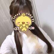 ヒメ日記 2025/11/22 19:36 投稿 ふう みつばちマーヤZ